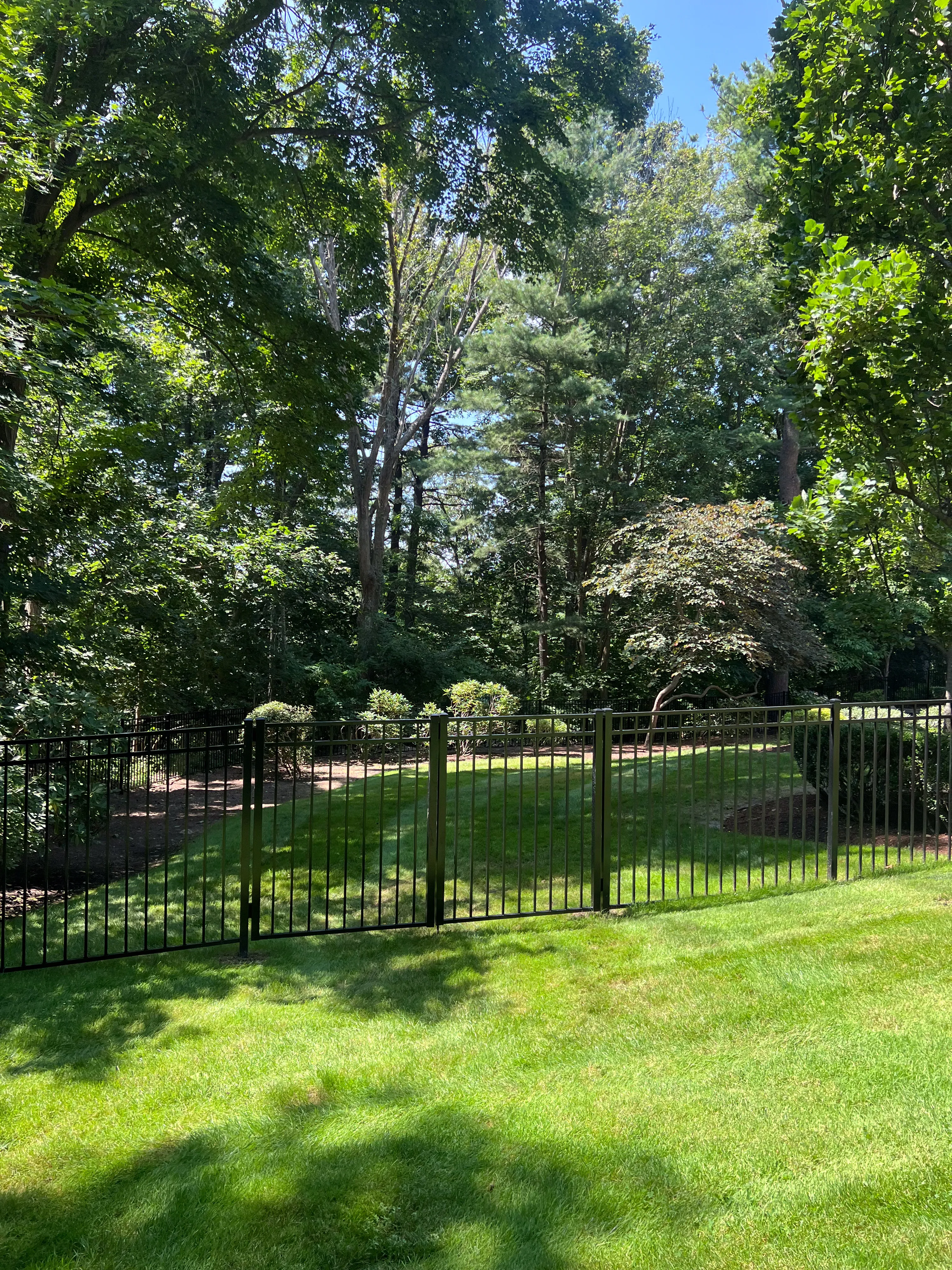 Black aluminum fence project