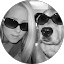 Stefanie P Avatar