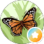 Claudia McCarthy Avatar